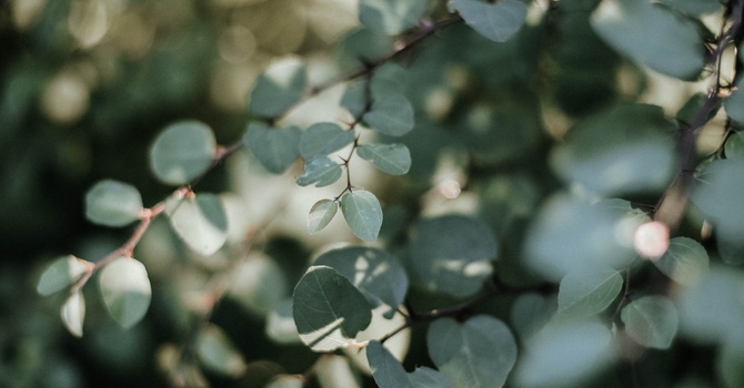 Ground. Process. Heal: Why EMDR Is at the Heart of My Work image