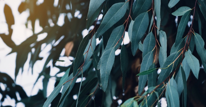 About ThriveSky Therapy 